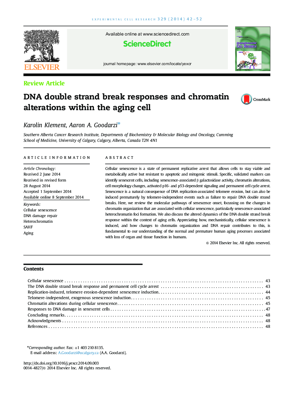 DNA double strand break responses and chromatin alterations within the aging cell