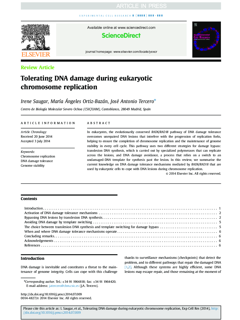 Tolerating DNA damage during eukaryotic chromosome replication