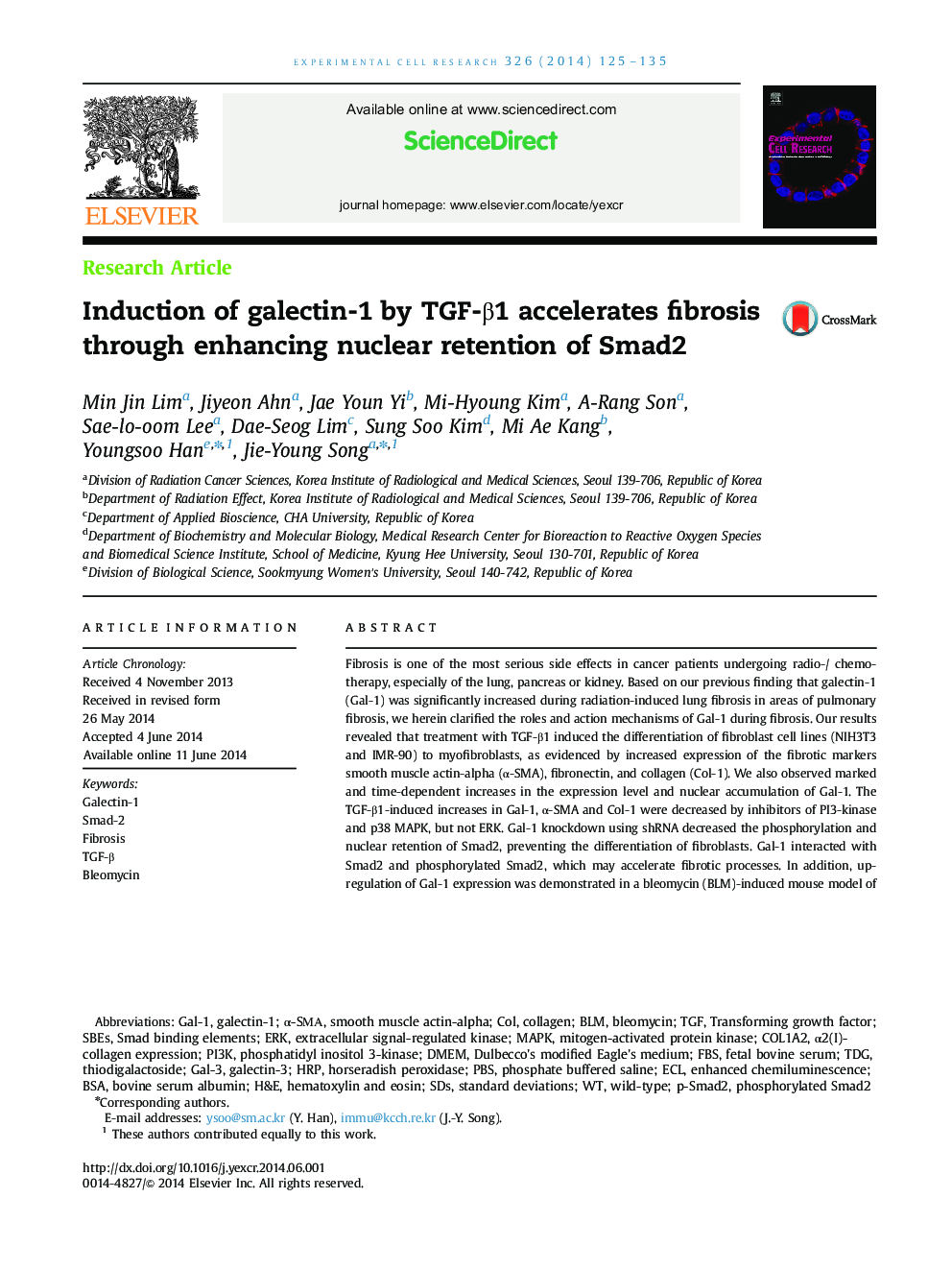 Induction of galectin-1 by TGF-Î²1 accelerates fibrosis through enhancing nuclear retention of Smad2