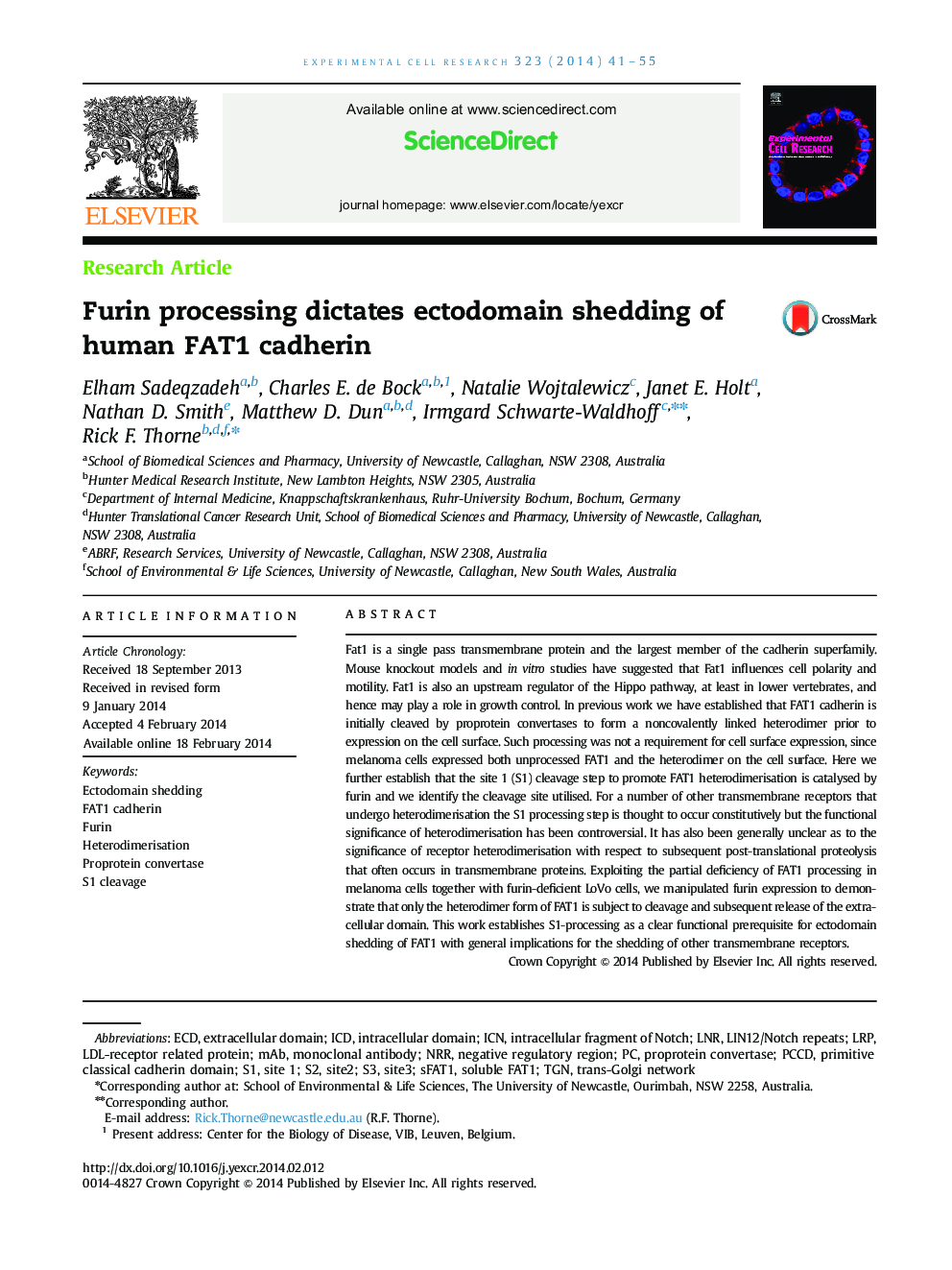 Furin processing dictates ectodomain shedding of human FAT1 cadherin