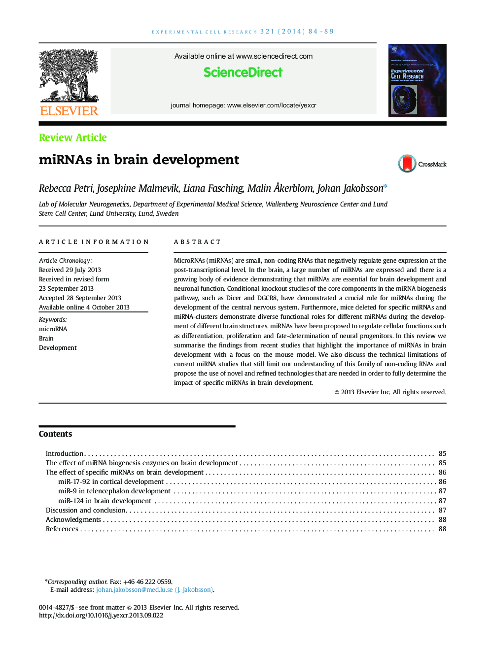 miRNAs in brain development