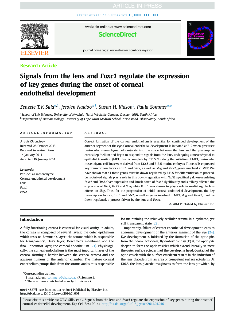 Signals from the lens and Foxc1 regulate the expression of key genes during the onset of corneal endothelial development