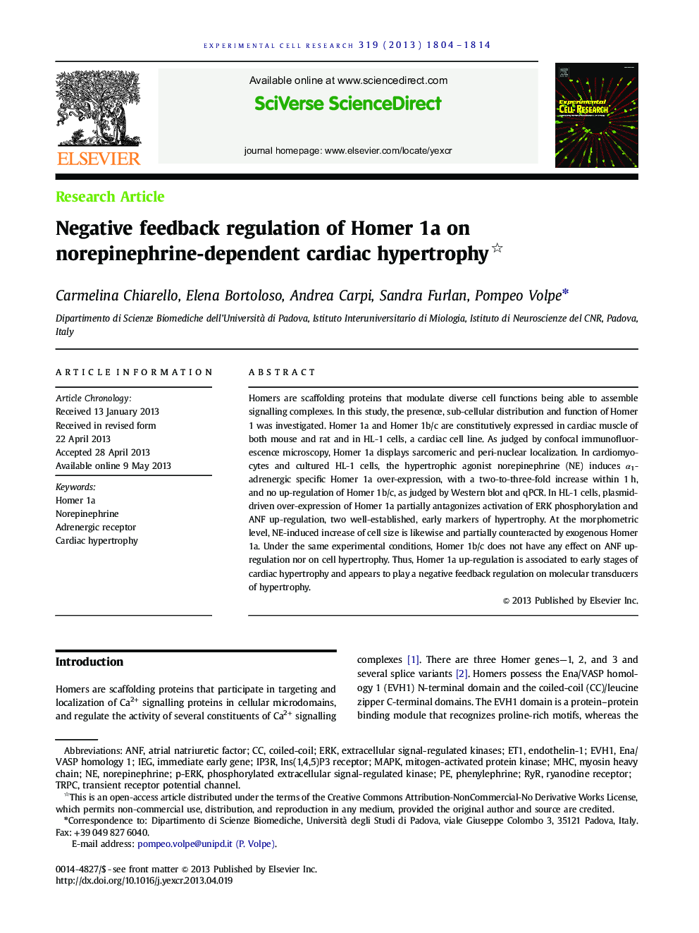 Negative feedback regulation of Homer 1a on norepinephrine-dependent cardiac hypertrophy
