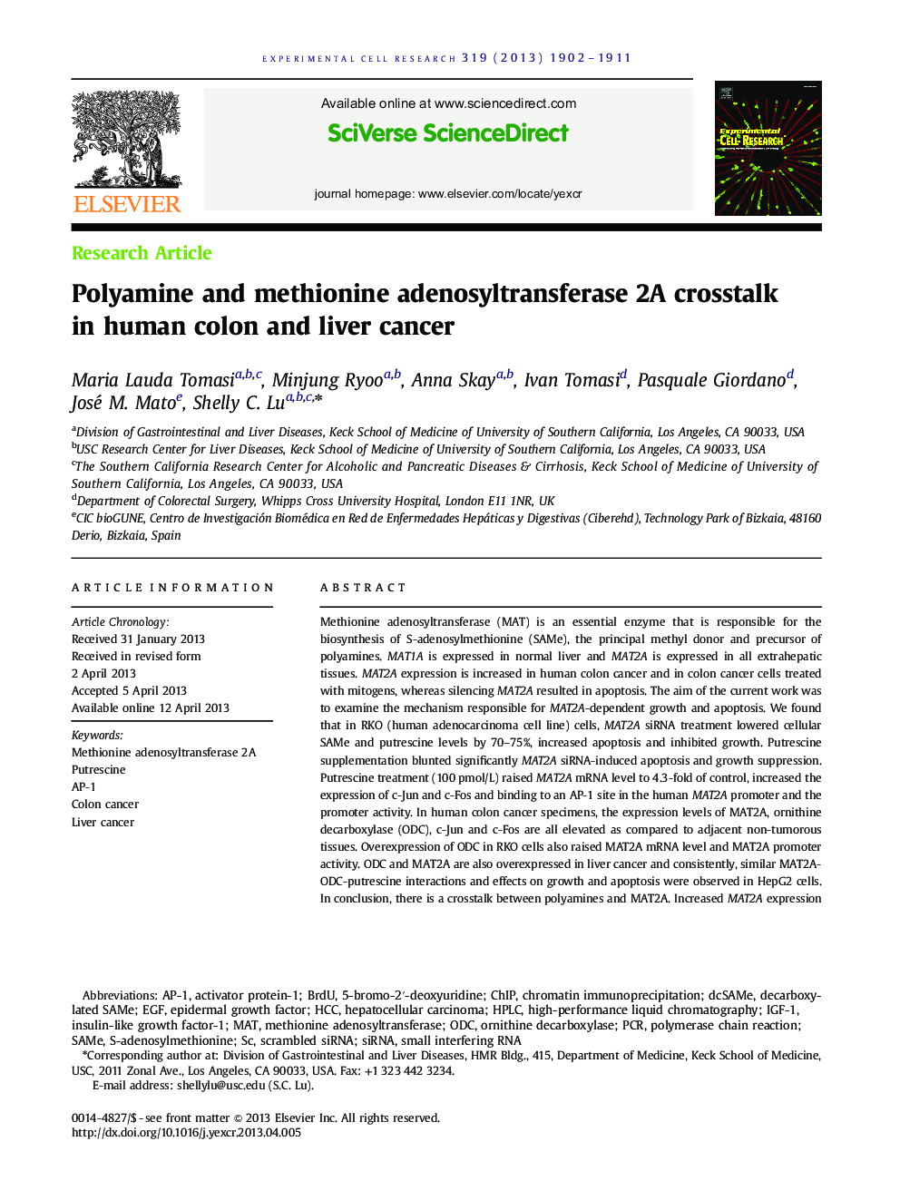 Polyamine and methionine adenosyltransferase 2A crosstalk in human colon and liver cancer