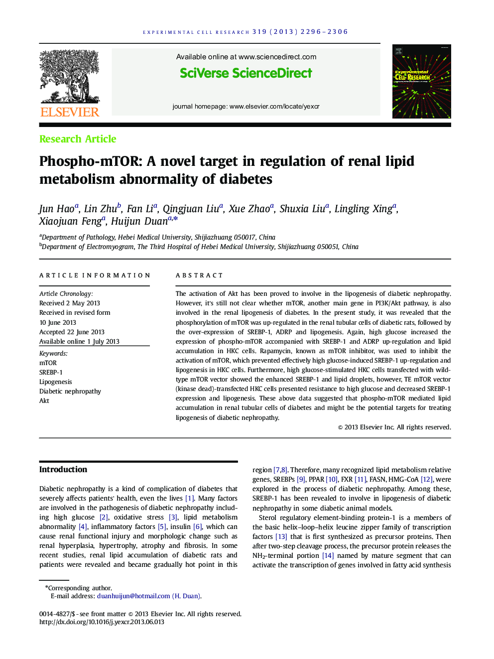 Phospho-mTOR: A novel target in regulation of renal lipid metabolism abnormality of diabetes