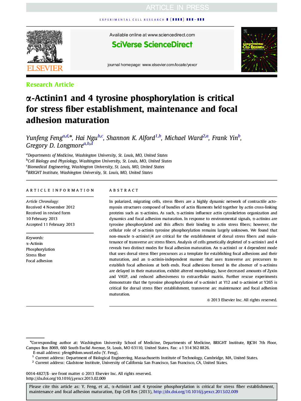 Î±-Actinin1 and 4 tyrosine phosphorylation is critical for stress fiber establishment, maintenance and focal adhesion maturation