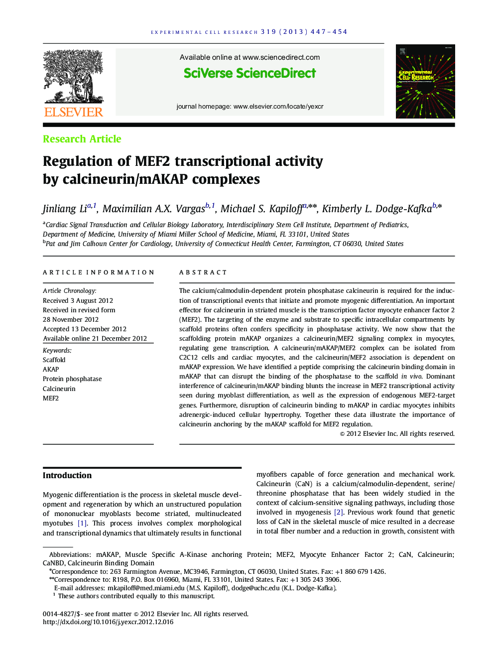 Regulation of MEF2 transcriptional activity by calcineurin/mAKAP complexes