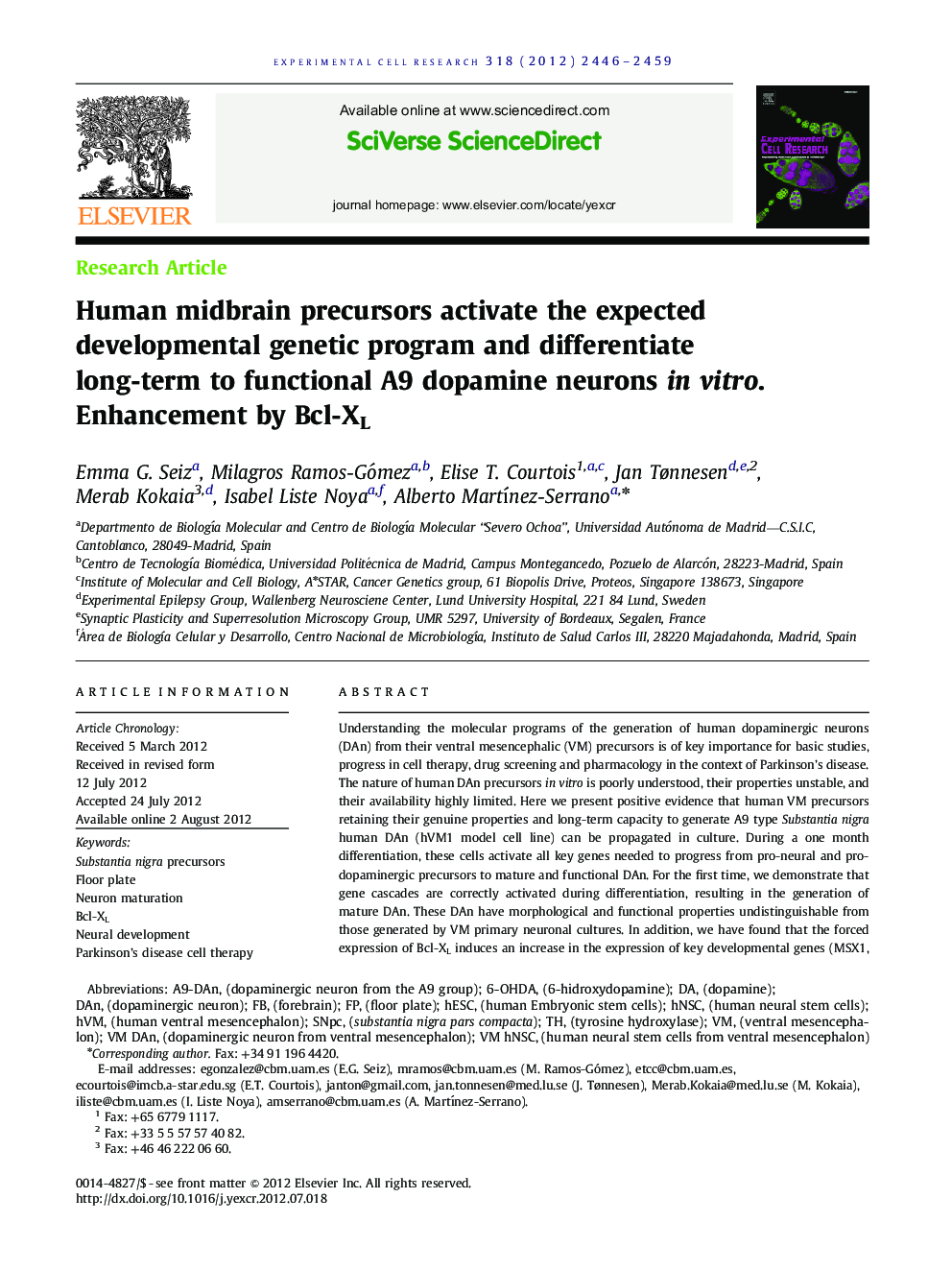 Human midbrain precursors activate the expected developmental genetic program and differentiate long-term to functional A9 dopamine neurons in vitro. Enhancement by Bcl-XL