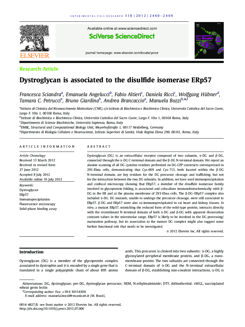 Dystroglycan is associated to the disulfide isomerase ERp57