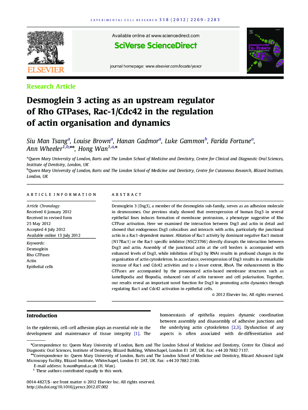 Desmoglein 3 acting as an upstream regulator of Rho GTPases, Rac-1/Cdc42 in the regulation of actin organisation and dynamics