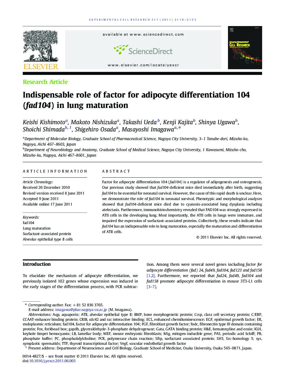 Indispensable role of factor for adipocyte differentiation 104 (fad104) in lung maturation
