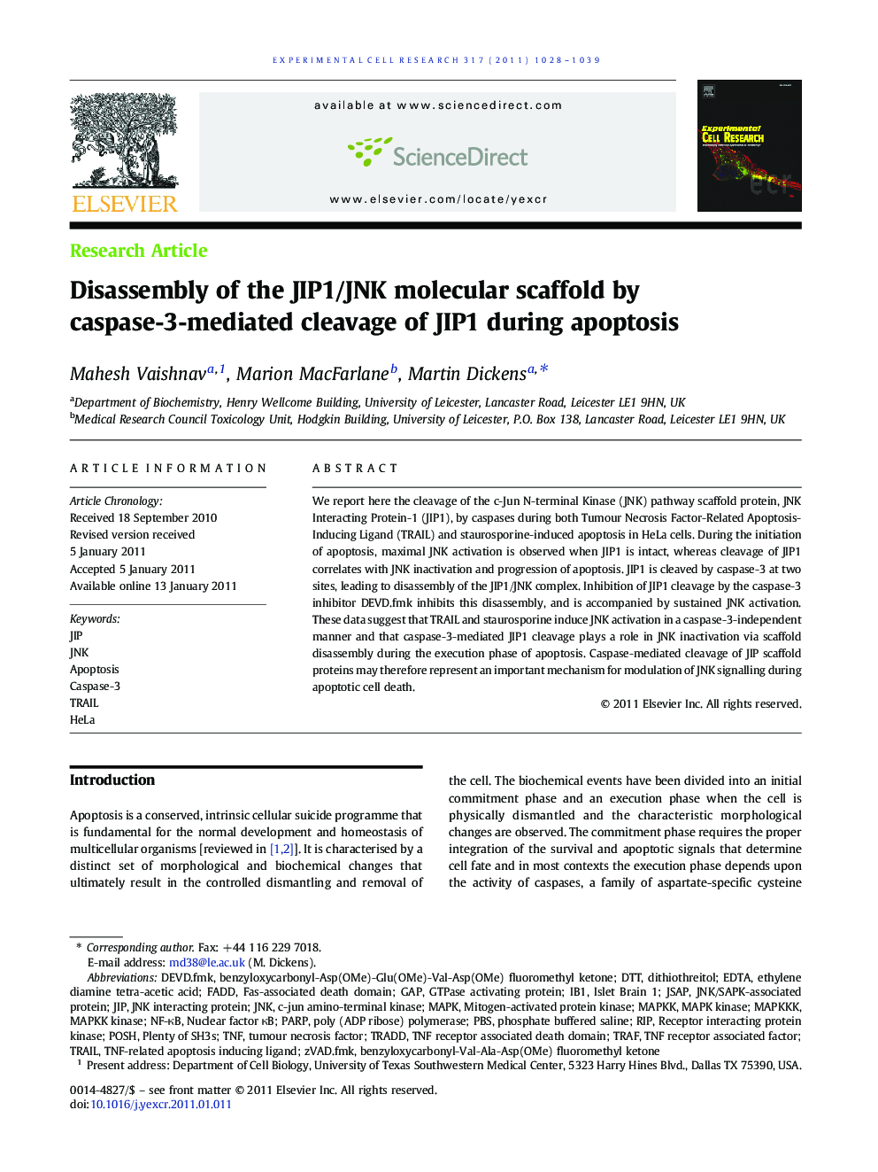 Disassembly of the JIP1/JNK molecular scaffold by caspase-3-mediated cleavage of JIP1 during apoptosis