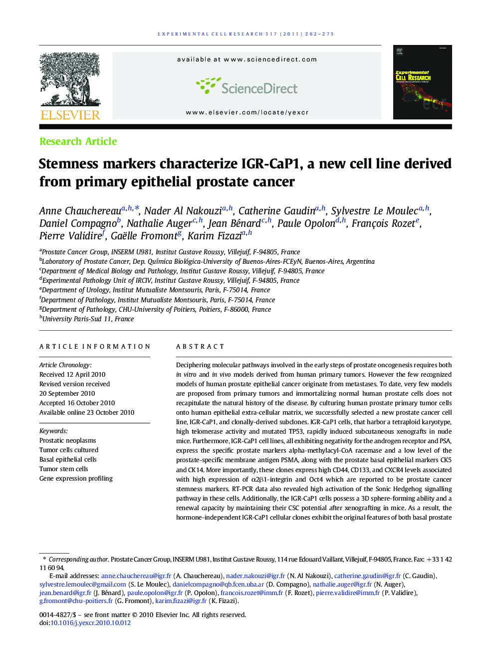 Stemness markers characterize IGR-CaP1, a new cell line derived from primary epithelial prostate cancer