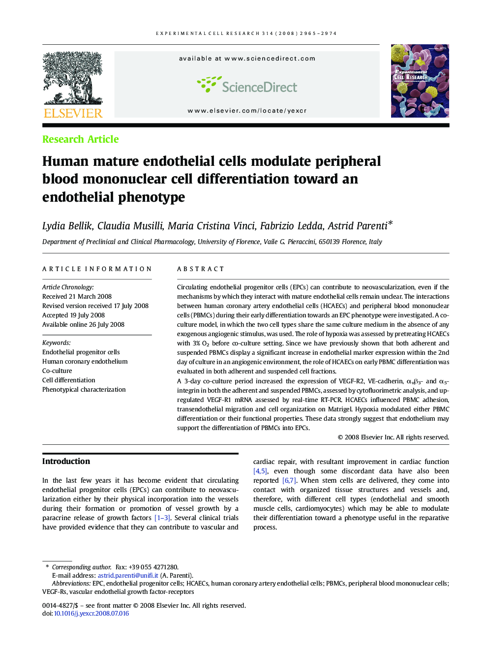 Human mature endothelial cells modulate peripheral blood mononuclear cell differentiation toward an endothelial phenotype