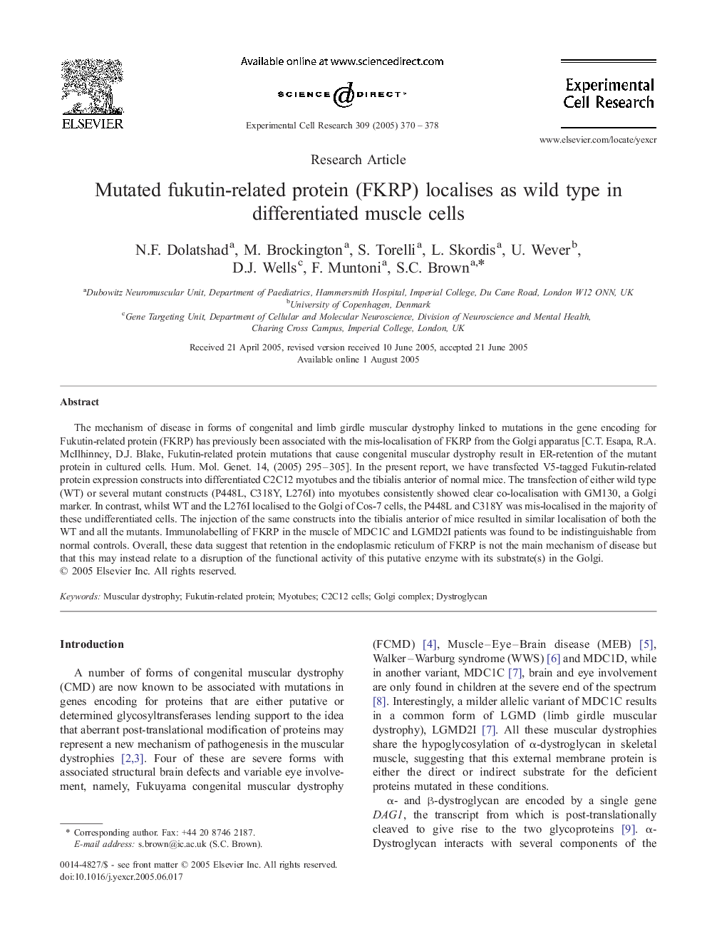 Mutated fukutin-related protein (FKRP) localises as wild type in differentiated muscle cells