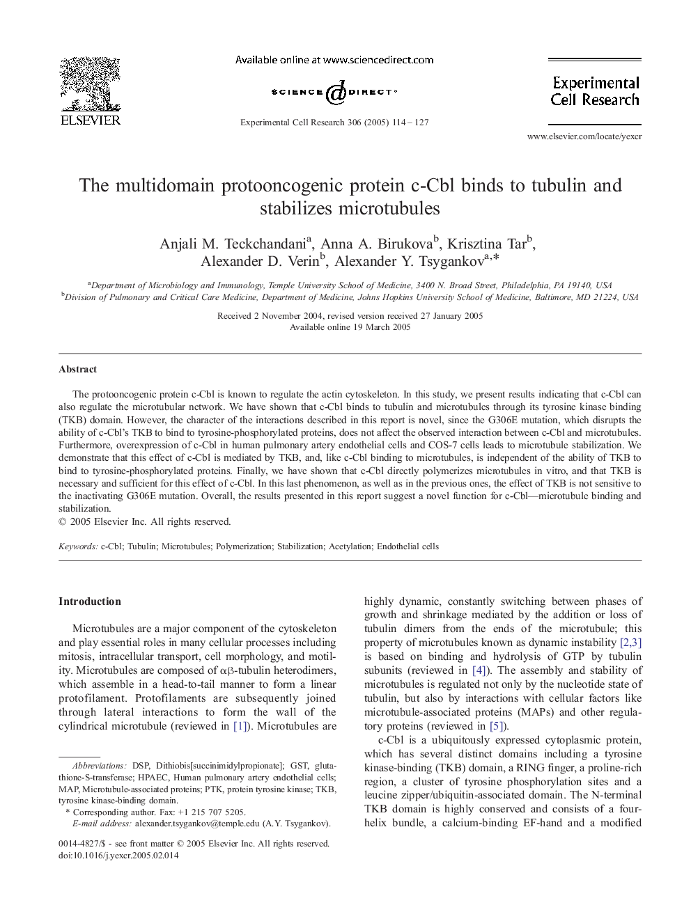 The multidomain protooncogenic protein c-Cbl binds to tubulin and stabilizes microtubules