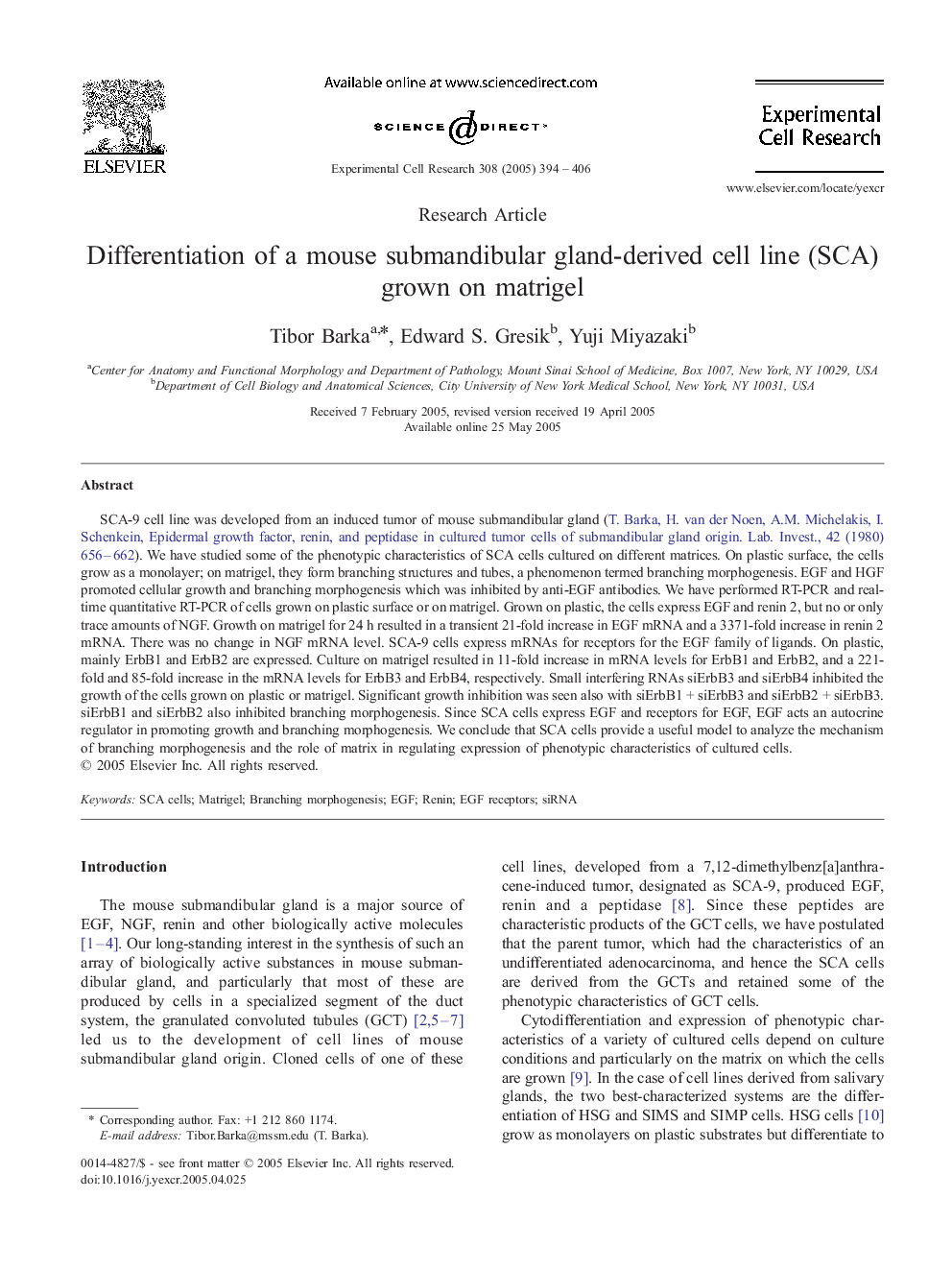 Differentiation of a mouse submandibular gland-derived cell line (SCA) grown on matrigel