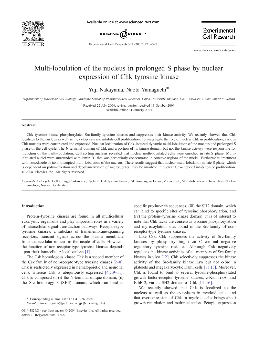 Multi-lobulation of the nucleus in prolonged S phase by nuclear expression of Chk tyrosine kinase