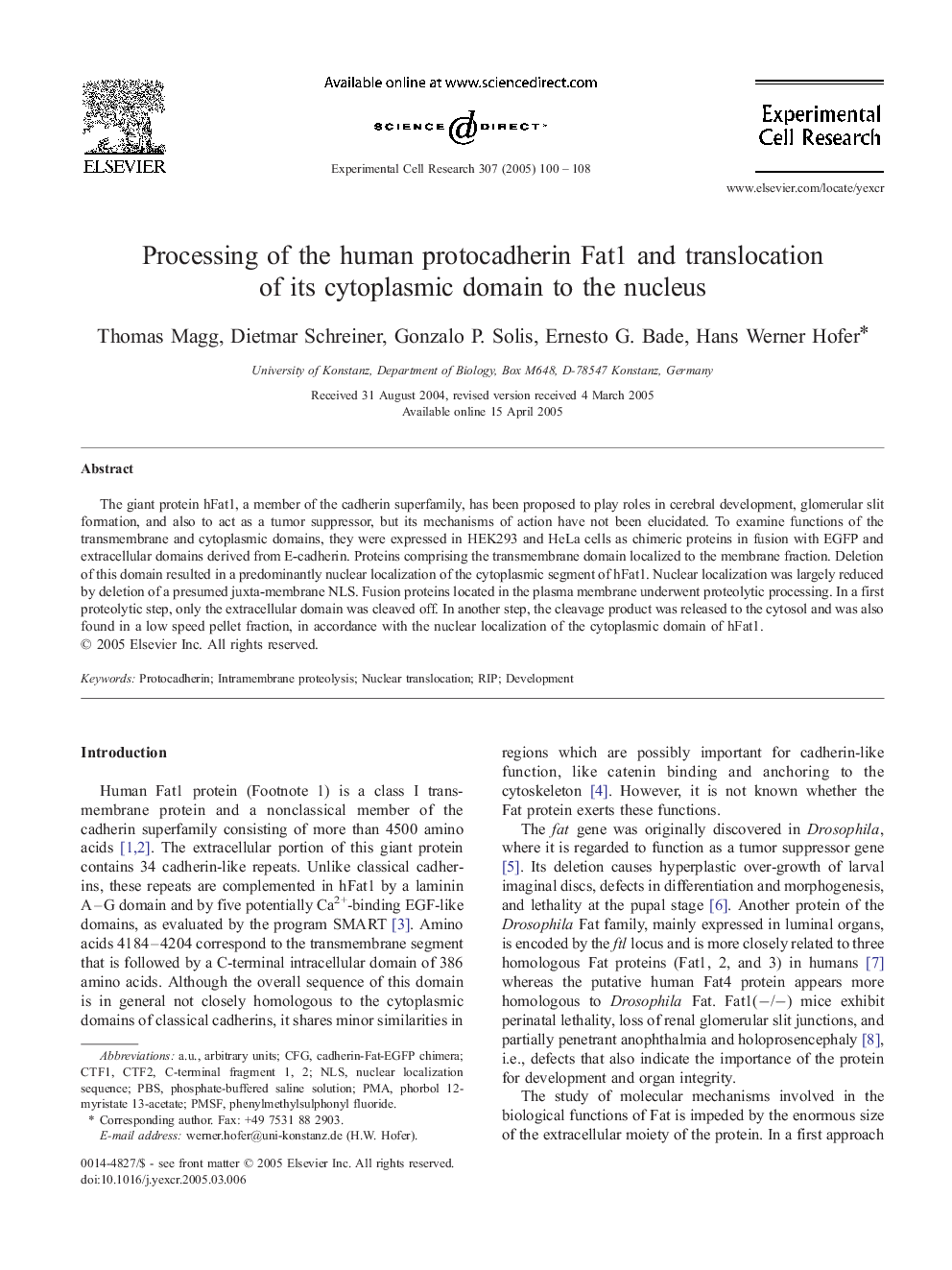 Processing of the human protocadherin Fat1 and translocation of its cytoplasmic domain to the nucleus