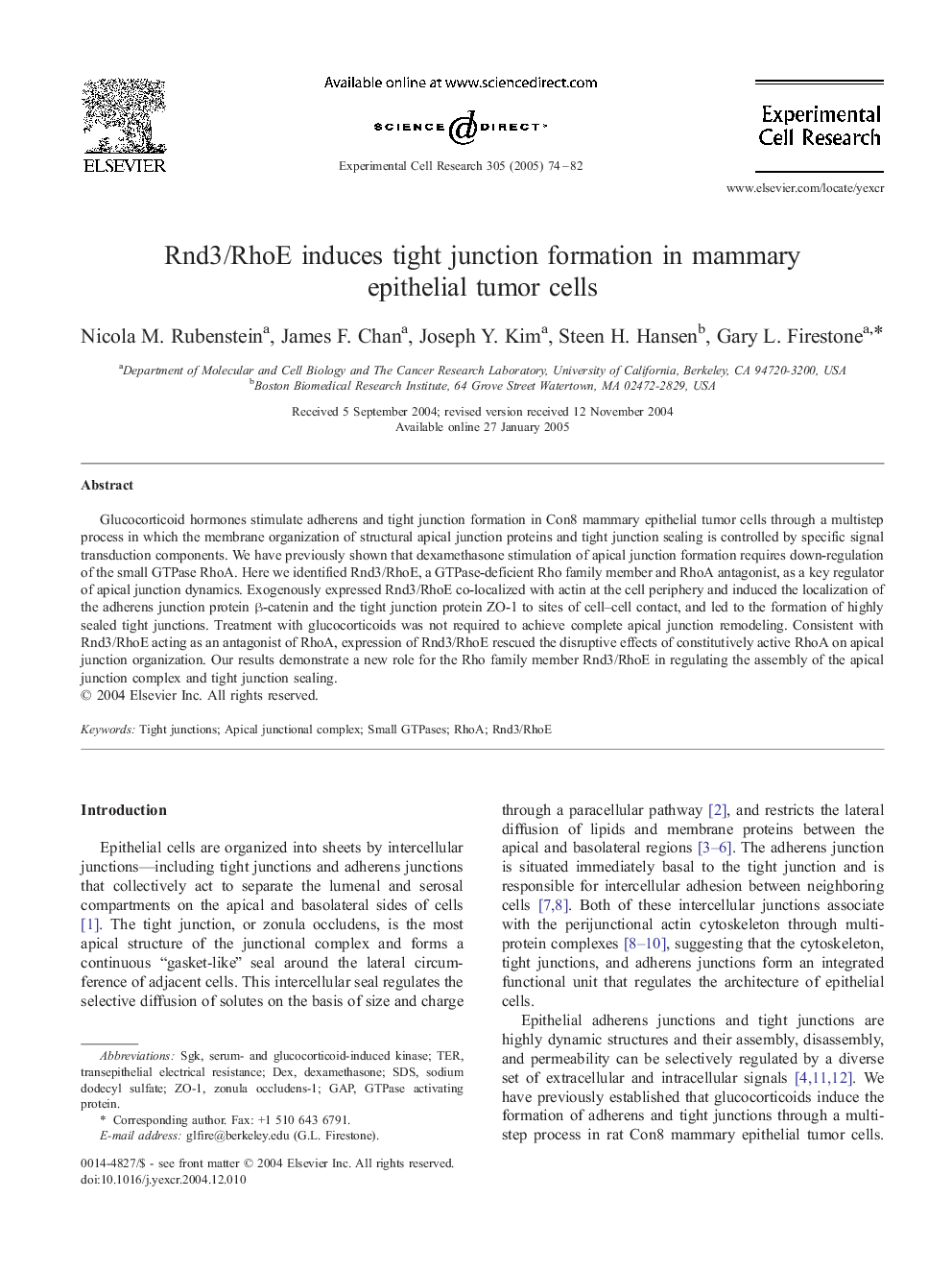 Rnd3/RhoE induces tight junction formation in mammary epithelial tumor cells