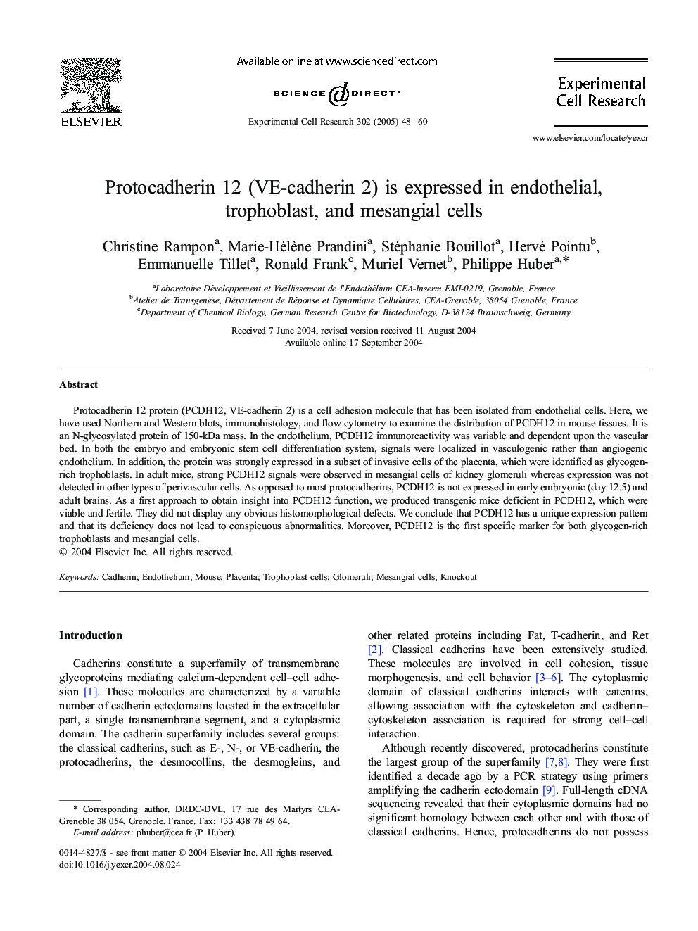 Protocadherin 12 (VE-cadherin 2) is expressed in endothelial, trophoblast, and mesangial cells