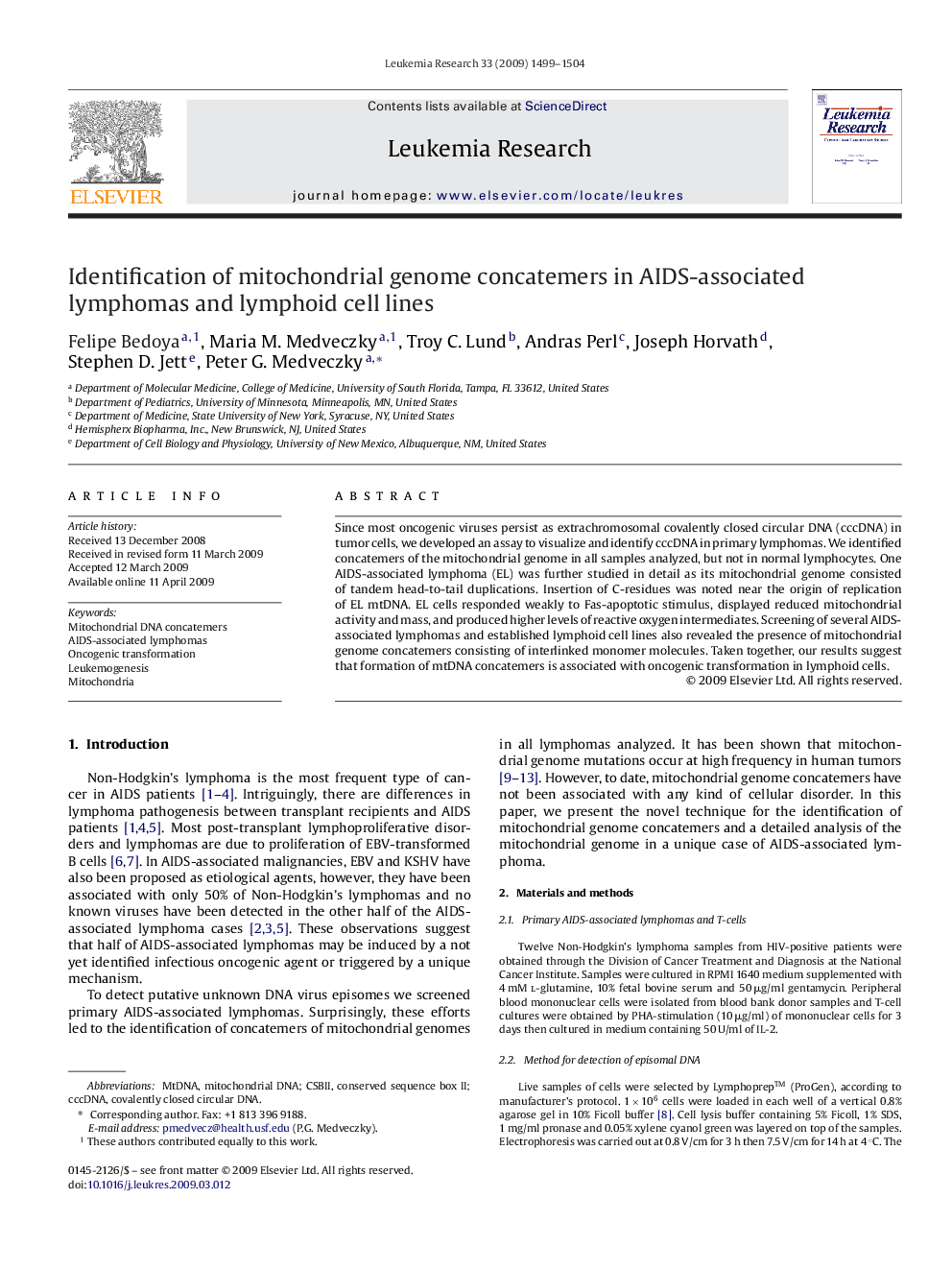 Identification of mitochondrial genome concatemers in AIDS-associated lymphomas and lymphoid cell lines