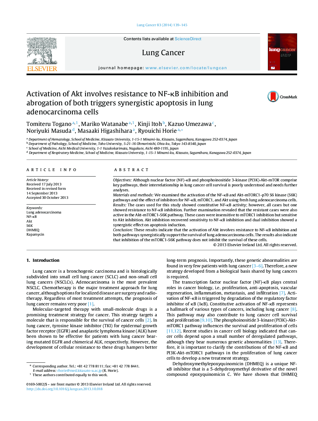 Activation of Akt involves resistance to NF-ÎºB inhibition and abrogation of both triggers synergistic apoptosis in lung adenocarcinoma cells