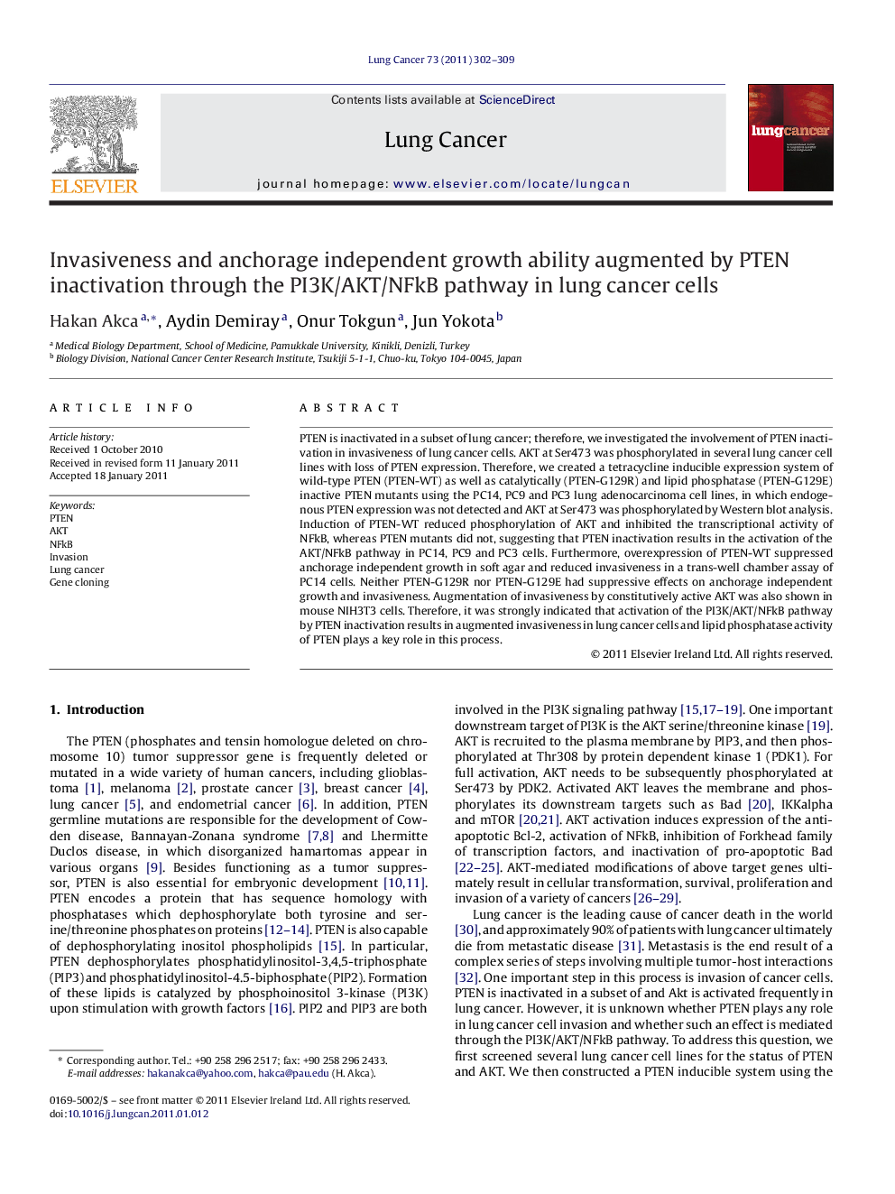 Invasiveness and anchorage independent growth ability augmented by PTEN inactivation through the PI3K/AKT/NFkB pathway in lung cancer cells