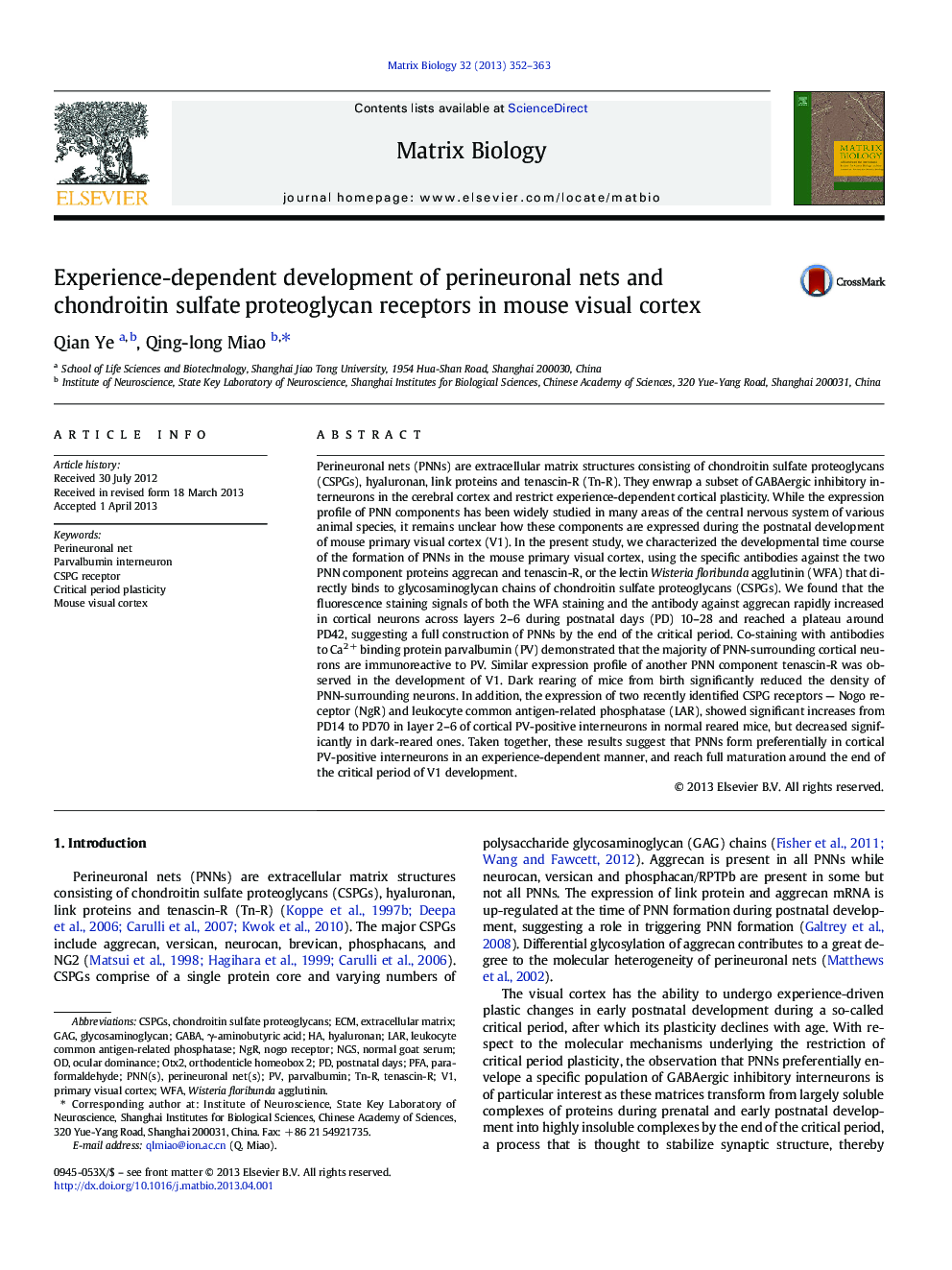 Experience-dependent development of perineuronal nets and chondroitin sulfate proteoglycan receptors in mouse visual cortex