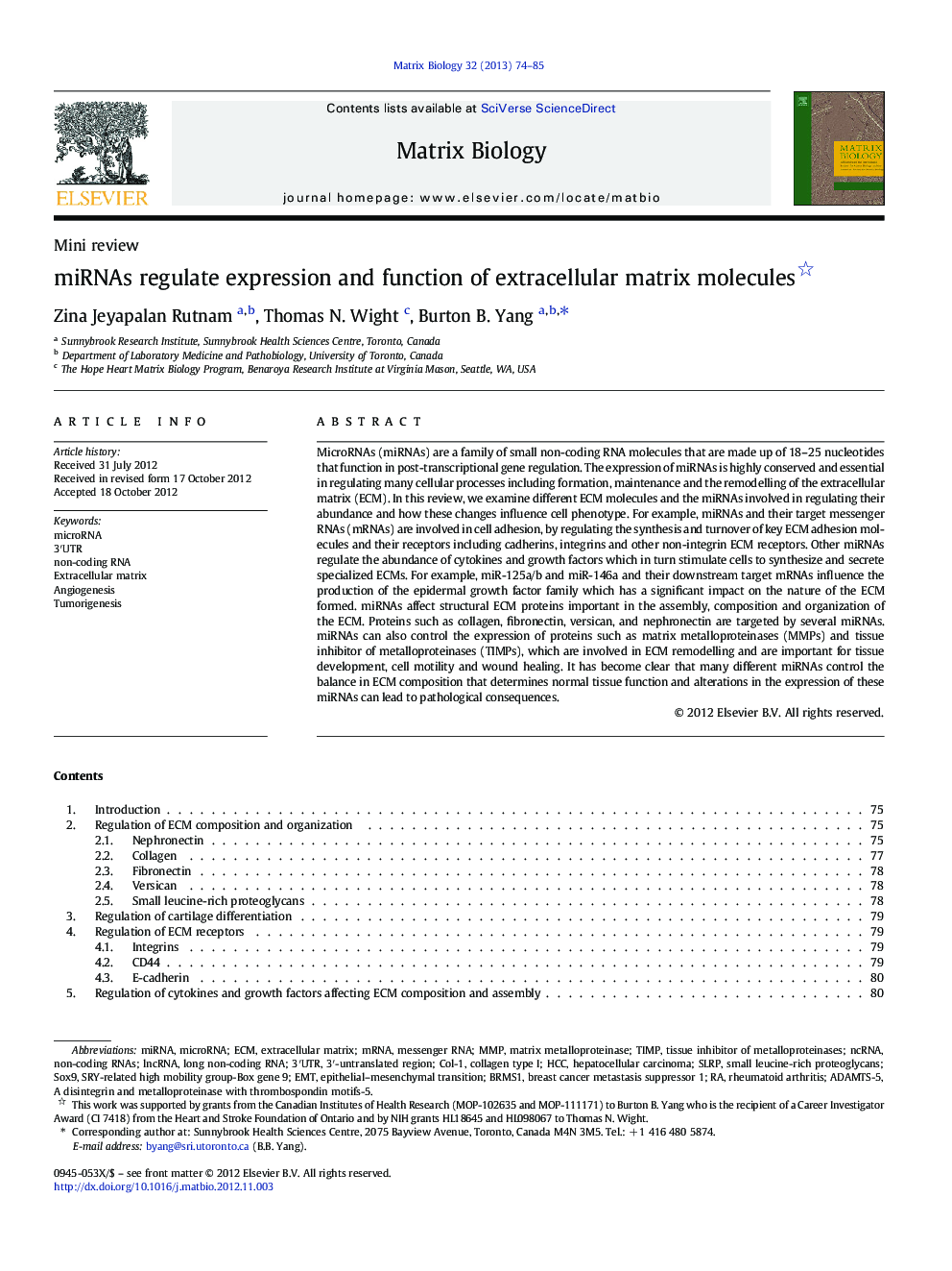 miRNAs regulate expression and function of extracellular matrix molecules