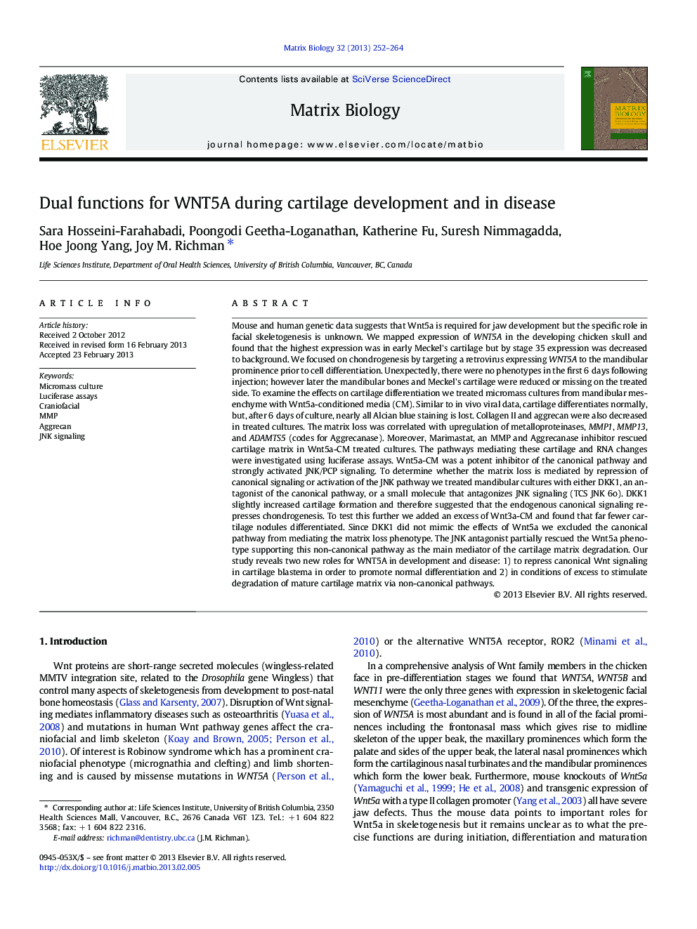 Dual functions for WNT5A during cartilage development and in disease