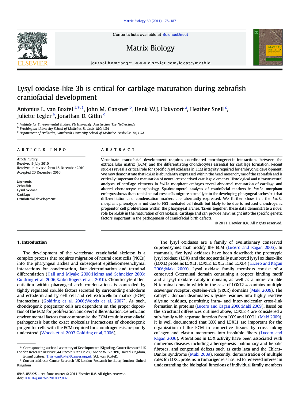 Lysyl oxidase-like 3b is critical for cartilage maturation during zebrafish craniofacial development