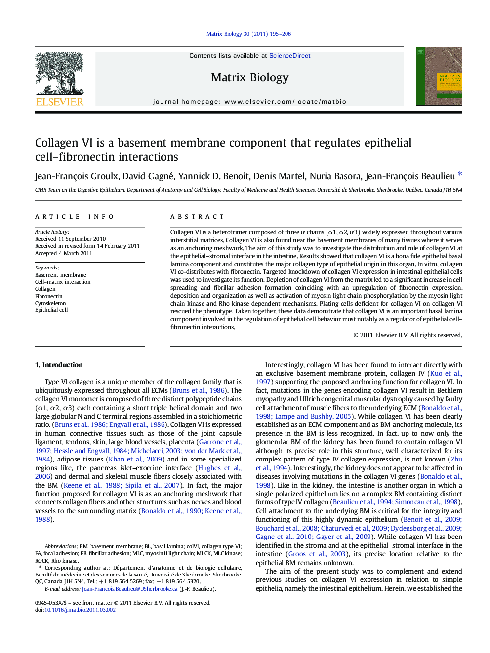 Collagen VI is a basement membrane component that regulates epithelial cell-fibronectin interactions