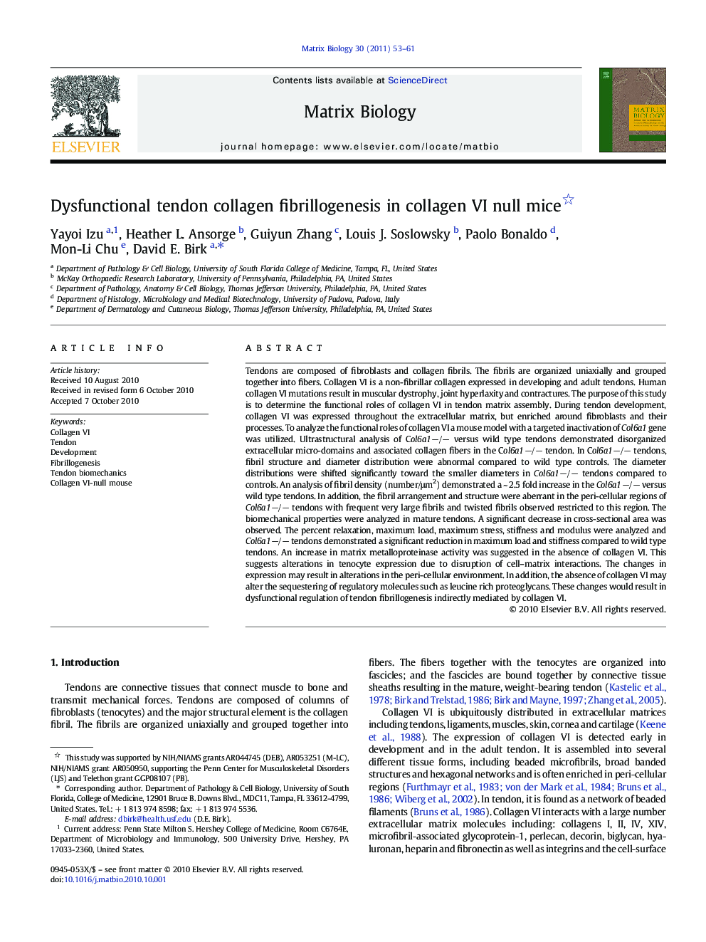 Dysfunctional tendon collagen fibrillogenesis in collagen VI null mice