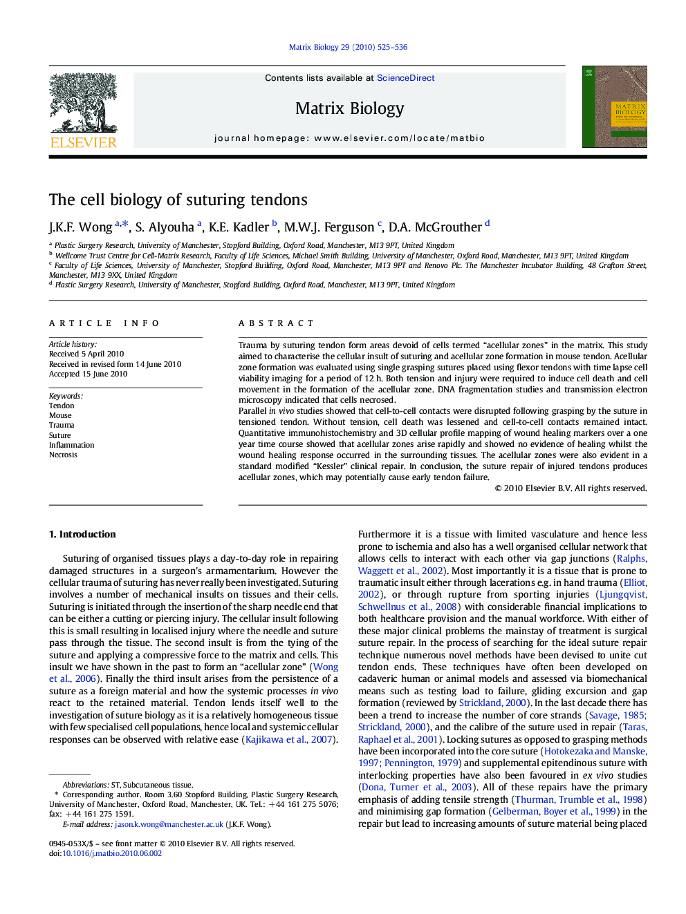 The cell biology of suturing tendons