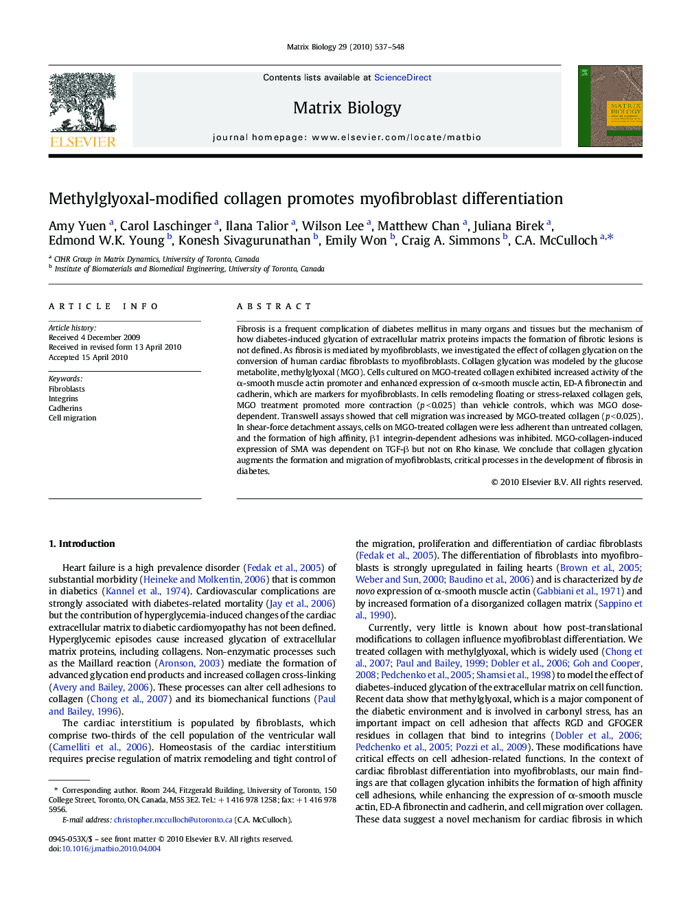 Methylglyoxal-modified collagen promotes myofibroblast differentiation