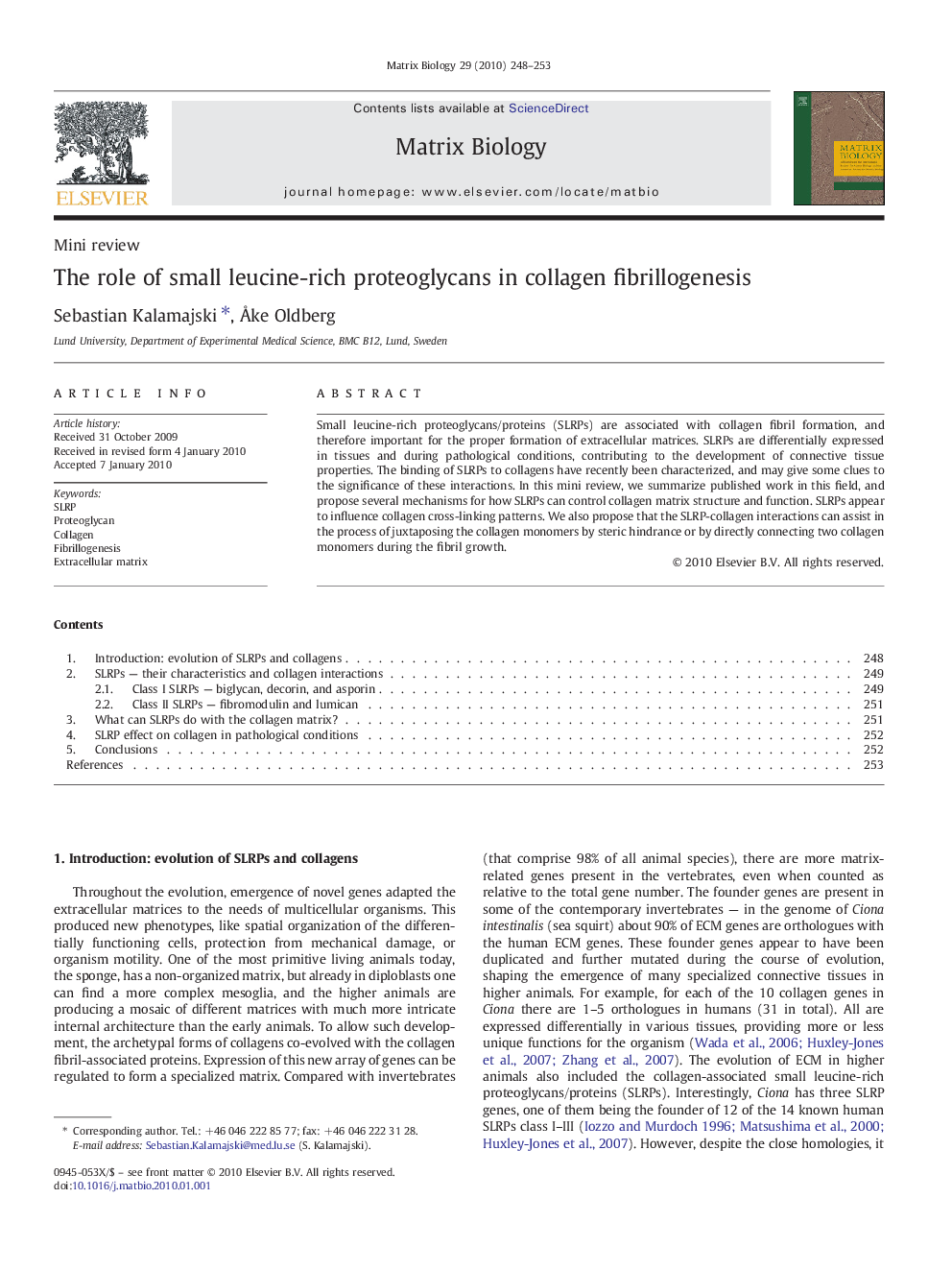 The role of small leucine-rich proteoglycans in collagen fibrillogenesis