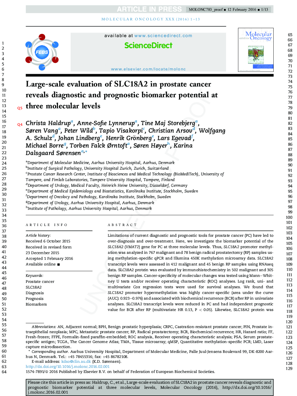 Large-scale evaluation of SLC18A2 in prostate cancer reveals diagnostic and prognostic biomarker potential at three molecular levels