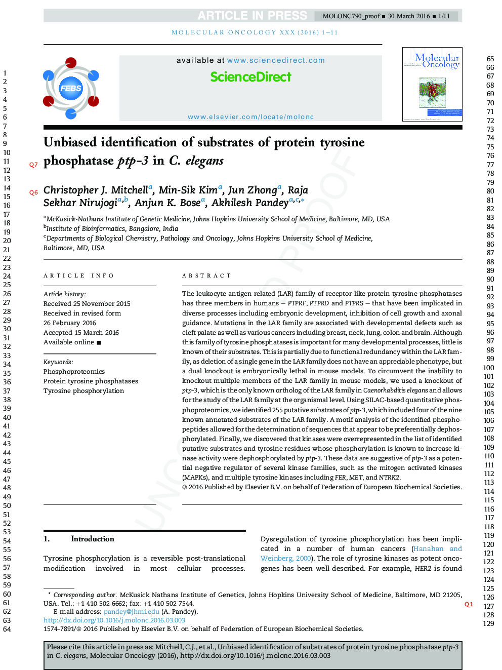 Unbiased identification of substrates of protein tyrosine phosphatase ptp-3 in C. elegans