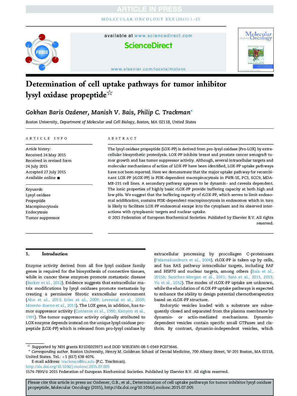 Determination of cell uptake pathways for tumor inhibitor lysyl oxidase propeptide