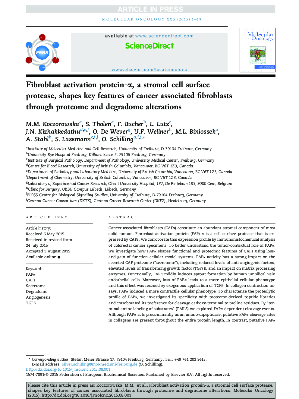 Fibroblast activation protein-Î±, a stromal cell surface protease, shapes key features of cancer associated fibroblasts through proteome and degradome alterations