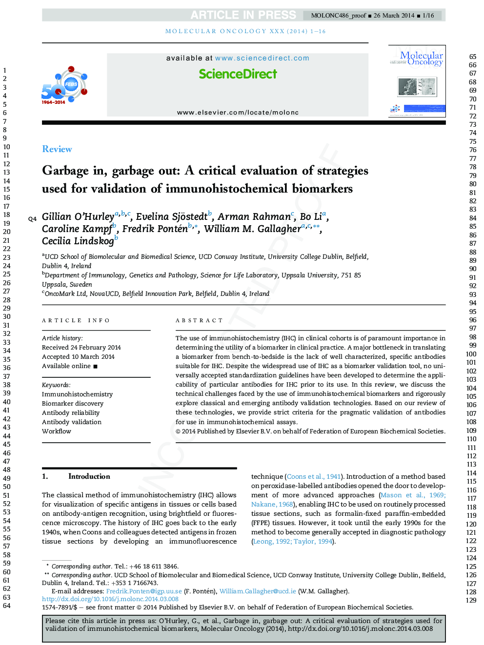 Garbage in, garbage out: A critical evaluation of strategies used for validation of immunohistochemical biomarkers