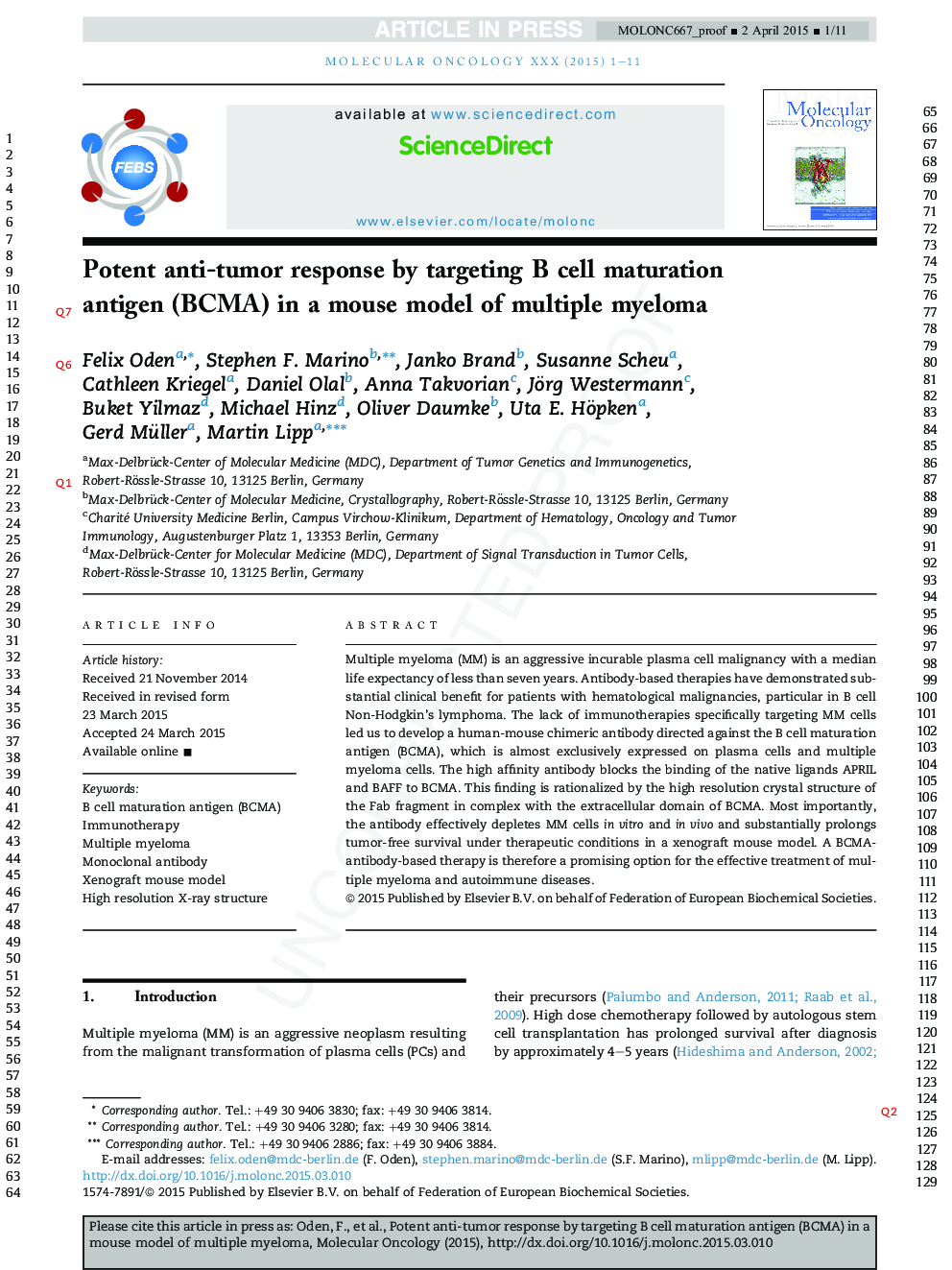 Potent anti-tumor response by targeting B cell maturation antigen (BCMA) in a mouse model of multiple myeloma