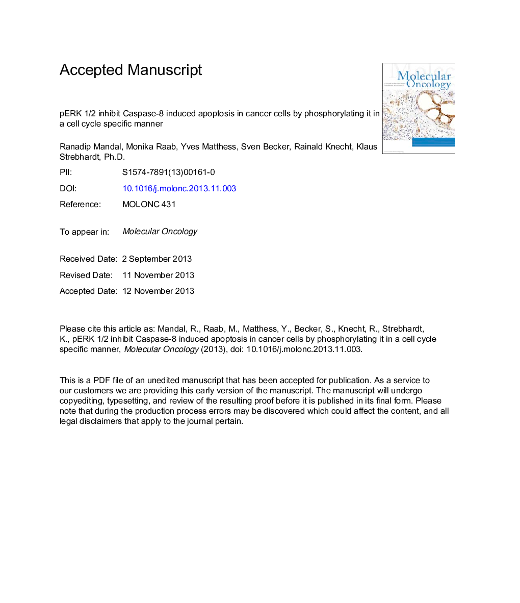 pERK 1/2 inhibit Caspase-8 induced apoptosis in cancer cells by phosphorylating it in a cell cycle specific manner