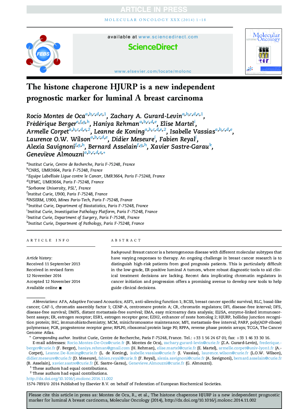 The histone chaperone HJURP is a new independent prognostic marker for luminal A breast carcinoma