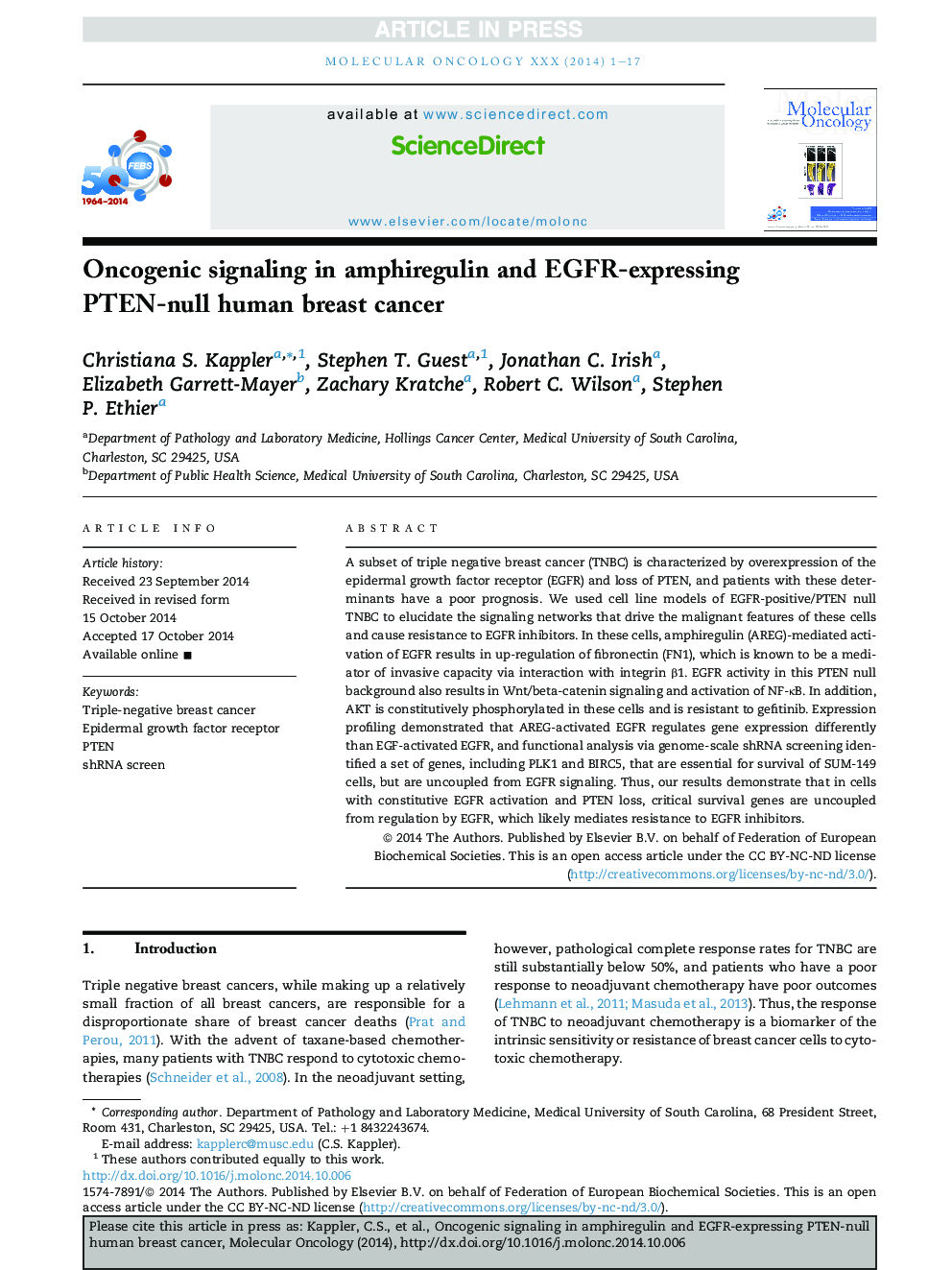 Oncogenic signaling in amphiregulin and EGFR-expressing PTEN-null human breast cancer