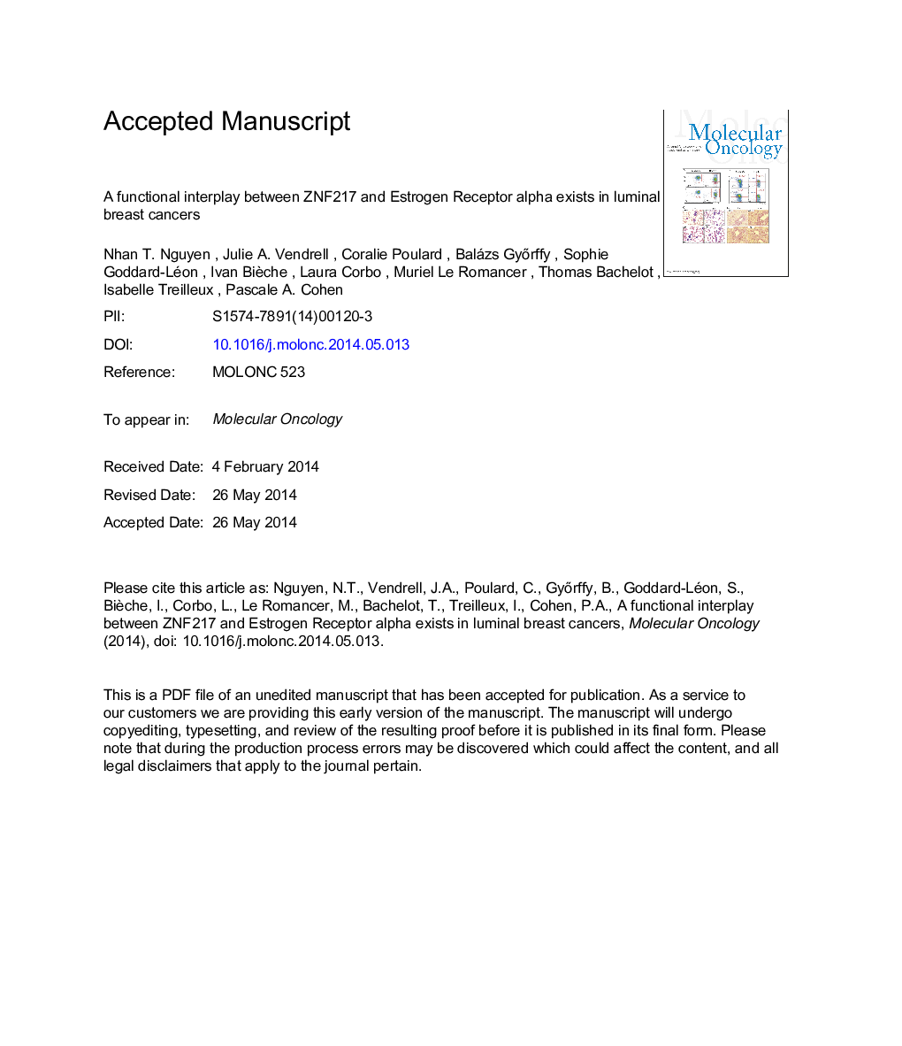 A functional interplay between ZNF217 and Estrogen Receptor alpha exists in luminal breast cancers