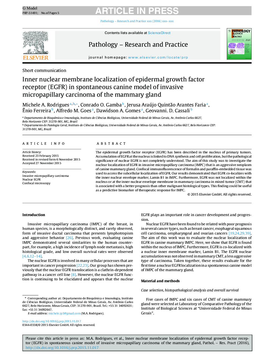 Inner nuclear membrane localization of epidermal growth factor receptor (EGFR) in spontaneous canine model of invasive micropapillary carcinoma of the mammary gland