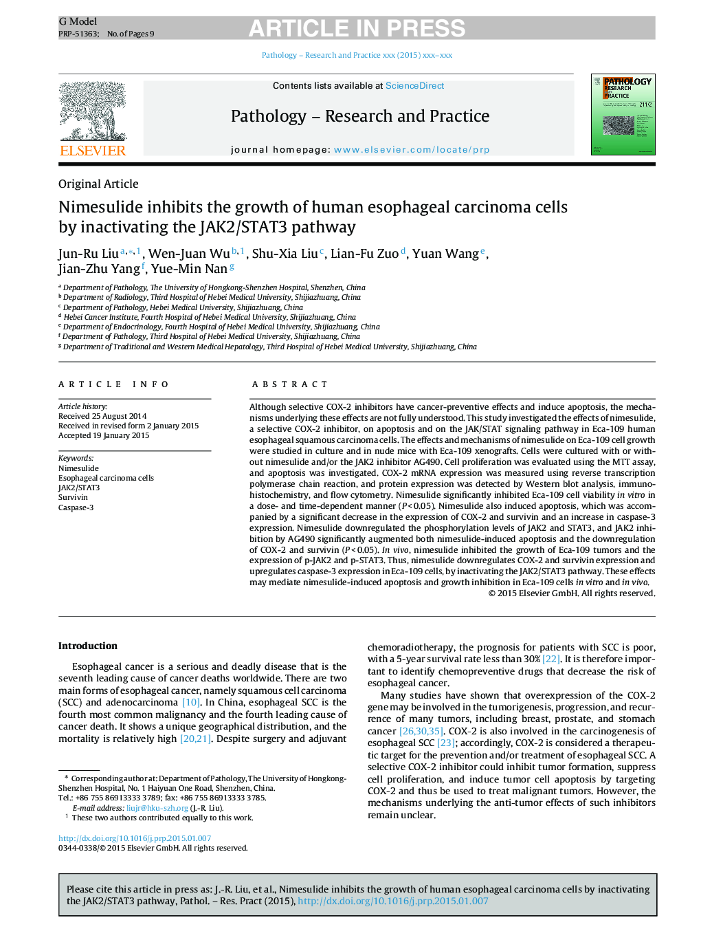 Nimesulide inhibits the growth of human esophageal carcinoma cells by inactivating the JAK2/STAT3 pathway