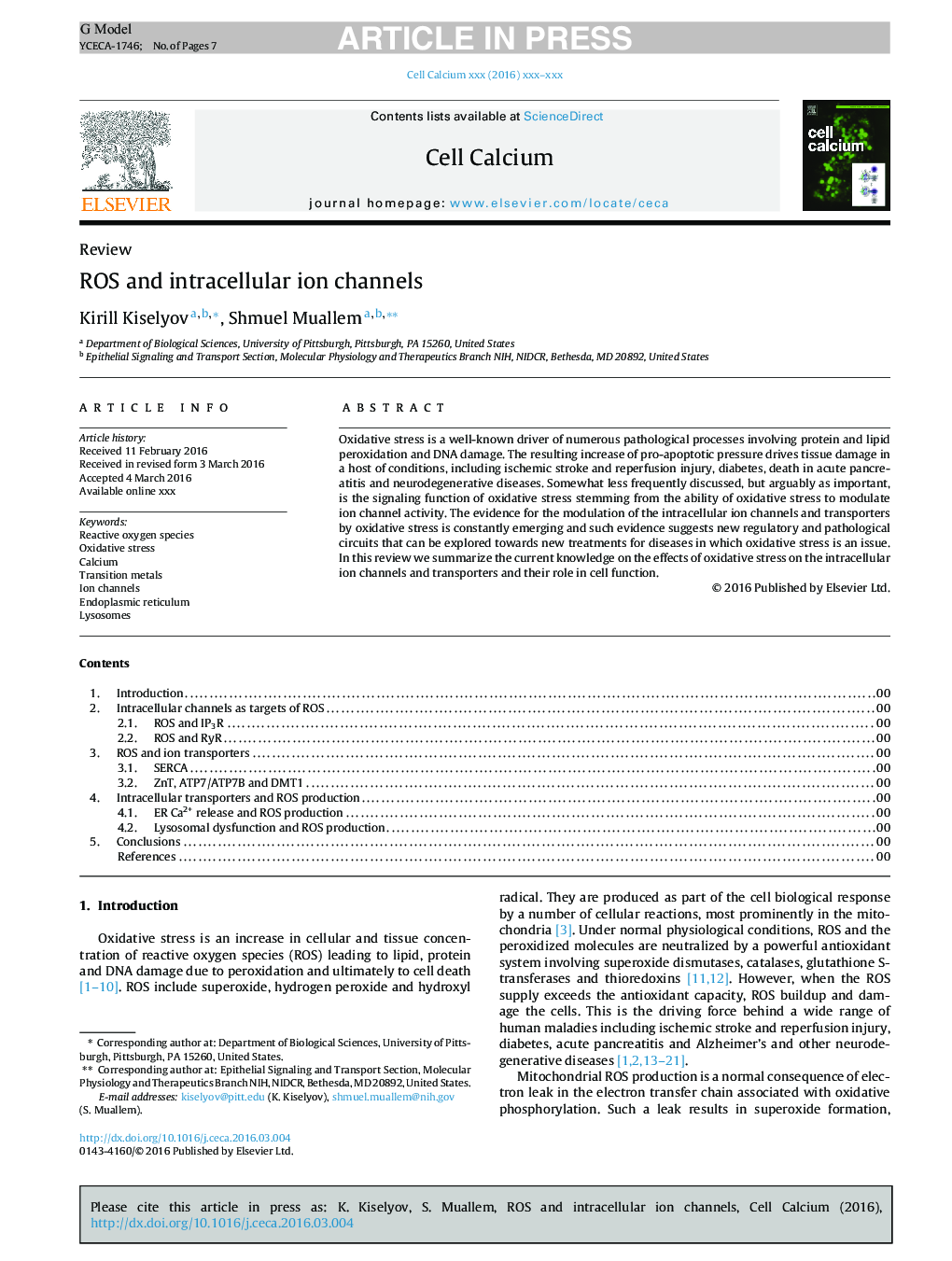 ROS and intracellular ion channels